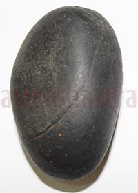 Shaligram 10716 125gm